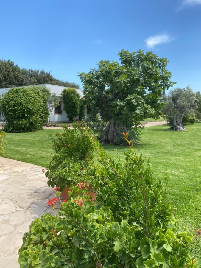 Casa Anna, Agriturismo Alla Castellana Gallipoli Εξωτερικό φωτογραφία